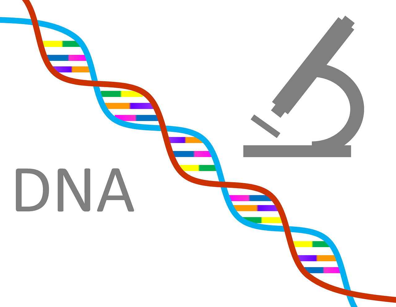 dna, genetics, science