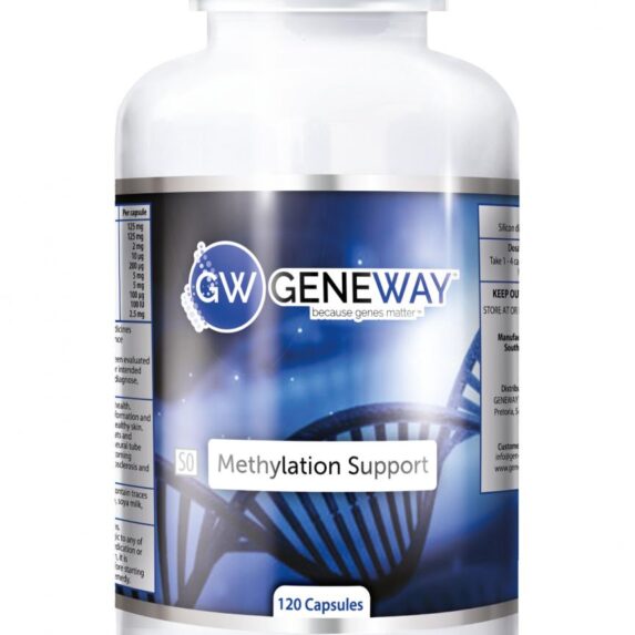 Geneway Methylation A 3D