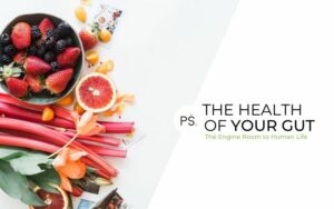 The Health of Your Gut Course